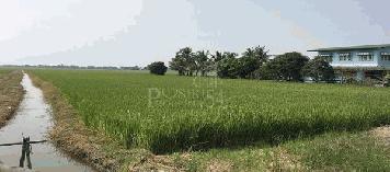 ขายที่ดิน 14 ไร่เศษ ราคาโปรโมชั่น ติดถนนเลียบคลอง 4 ฝั่งตะวันออก ใกล้โรงเรียนวัดมงคลพุการาม – ขายที่ปทุมธานี